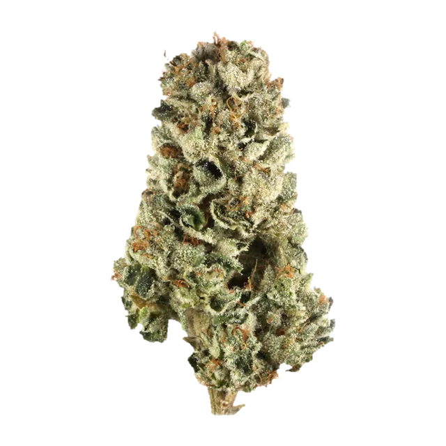 Symbolbild einer Cannabisblüte