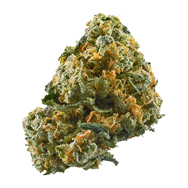Symbolbild einer Cannabisblüte