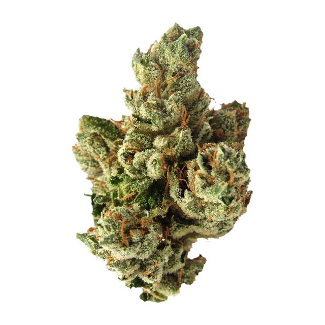SFV OG