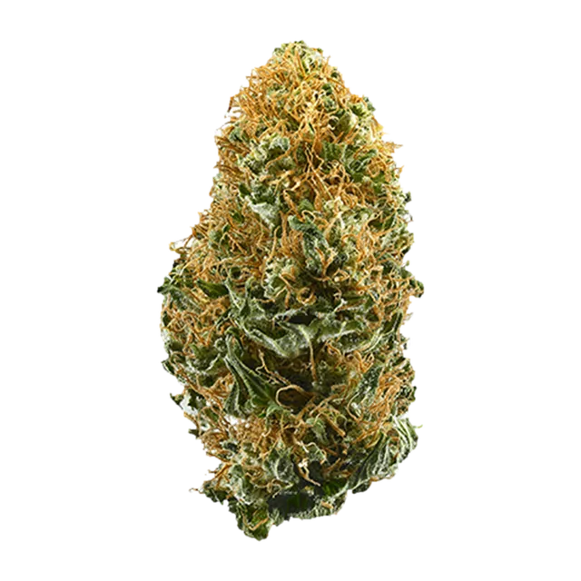 White Widow