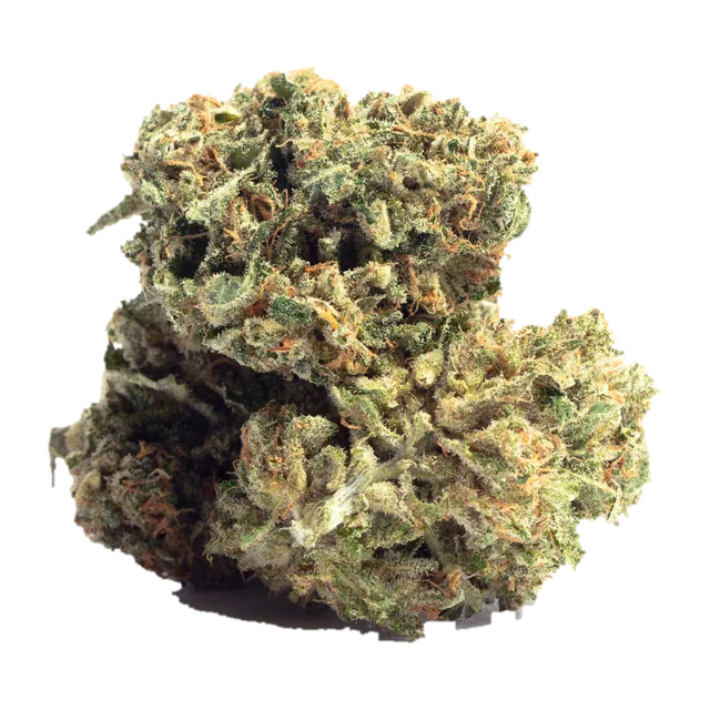Alien Dawg