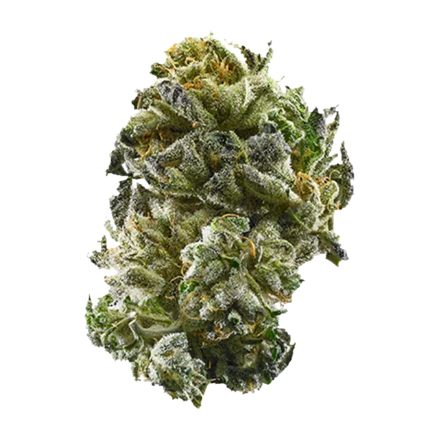 GSC