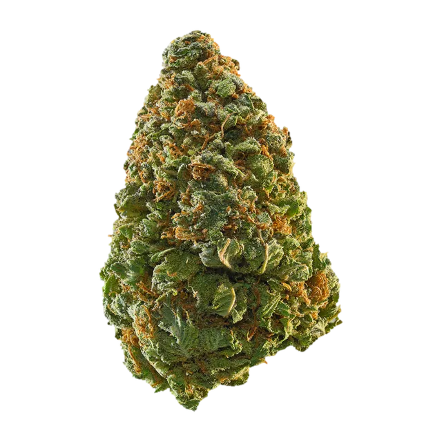 Symbolbild einer Cannabisblüte