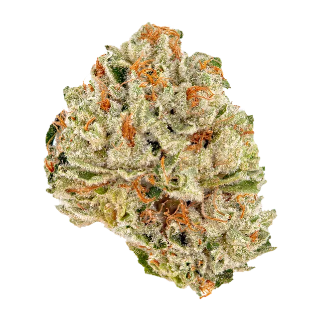 Symbolbild einer Cannabisblüte