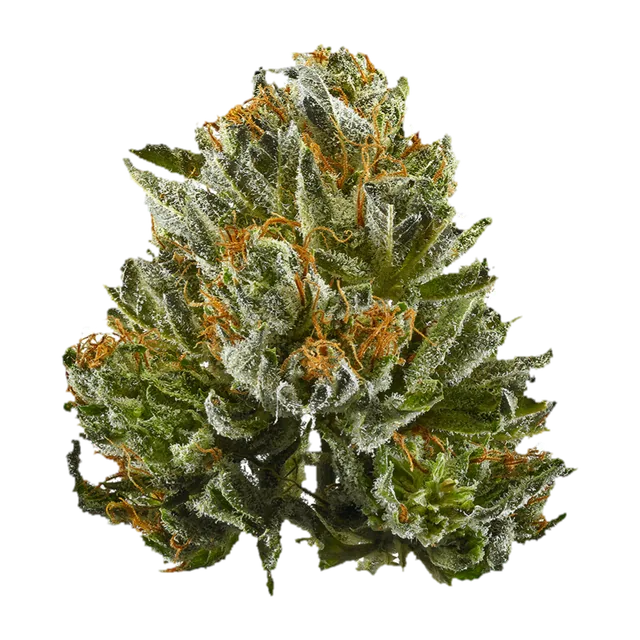$100 OG