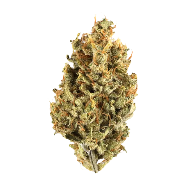 Symbolbild einer Cannabisblüte