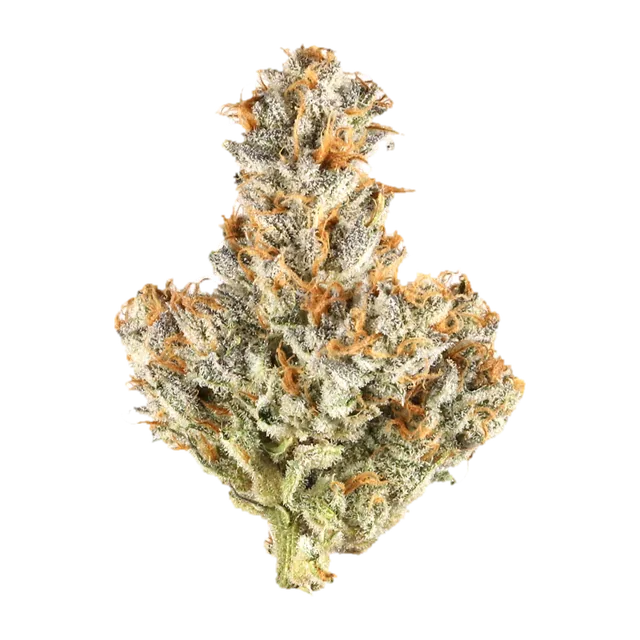 Symbolbild einer Cannabisblüte