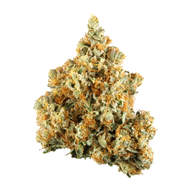 NYC Diesel