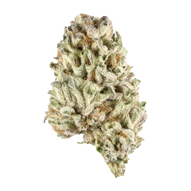 Symbolbild einer Cannabisblüte