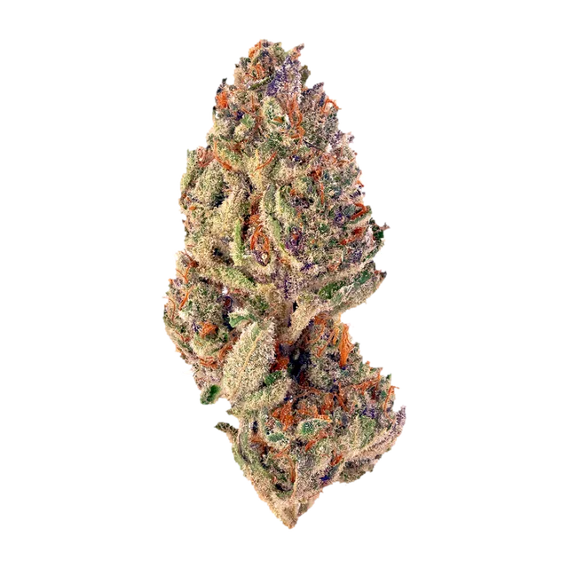 Symbolbild einer Cannabisblüte