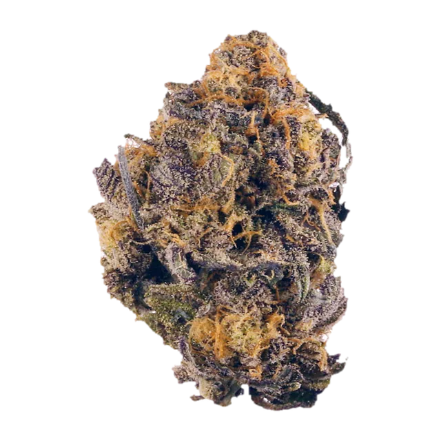 Purple OG Kush