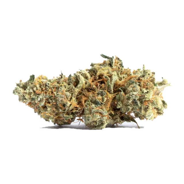 Amnesia