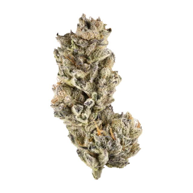 Symbolbild einer Cannabisblüte