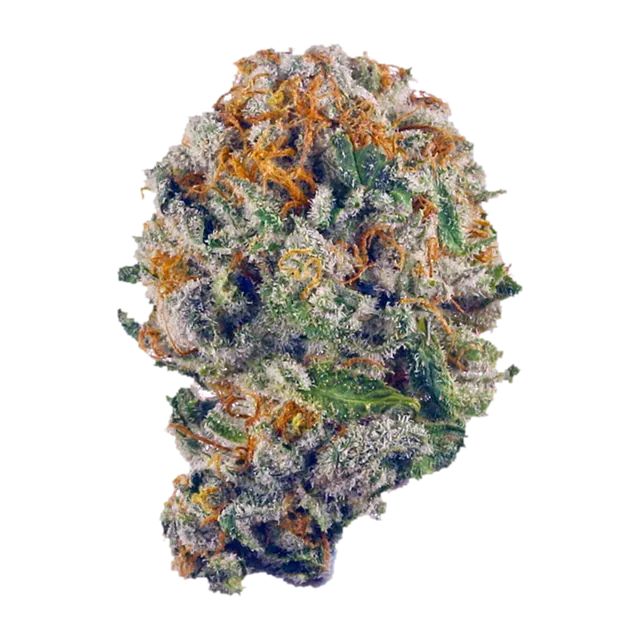 Blueberry Muffin