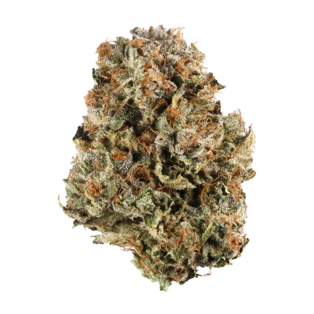 Bio-Diesel