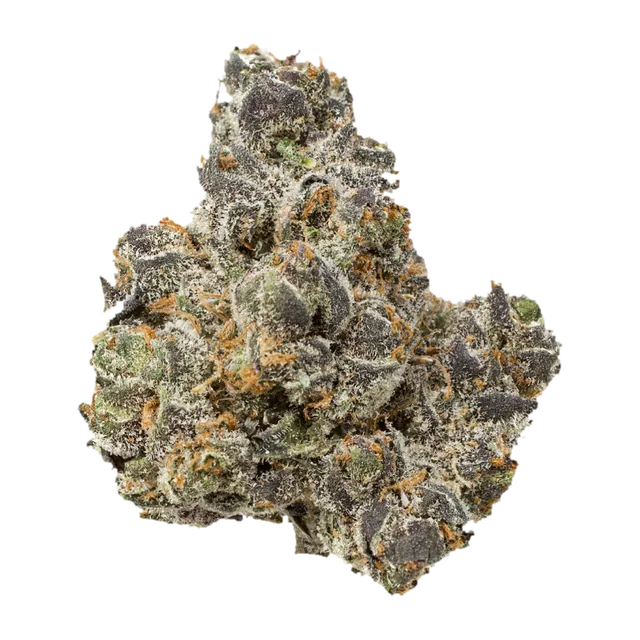 Apple Fritter