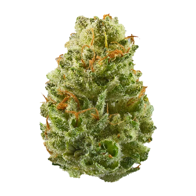 Strawberry Cough
